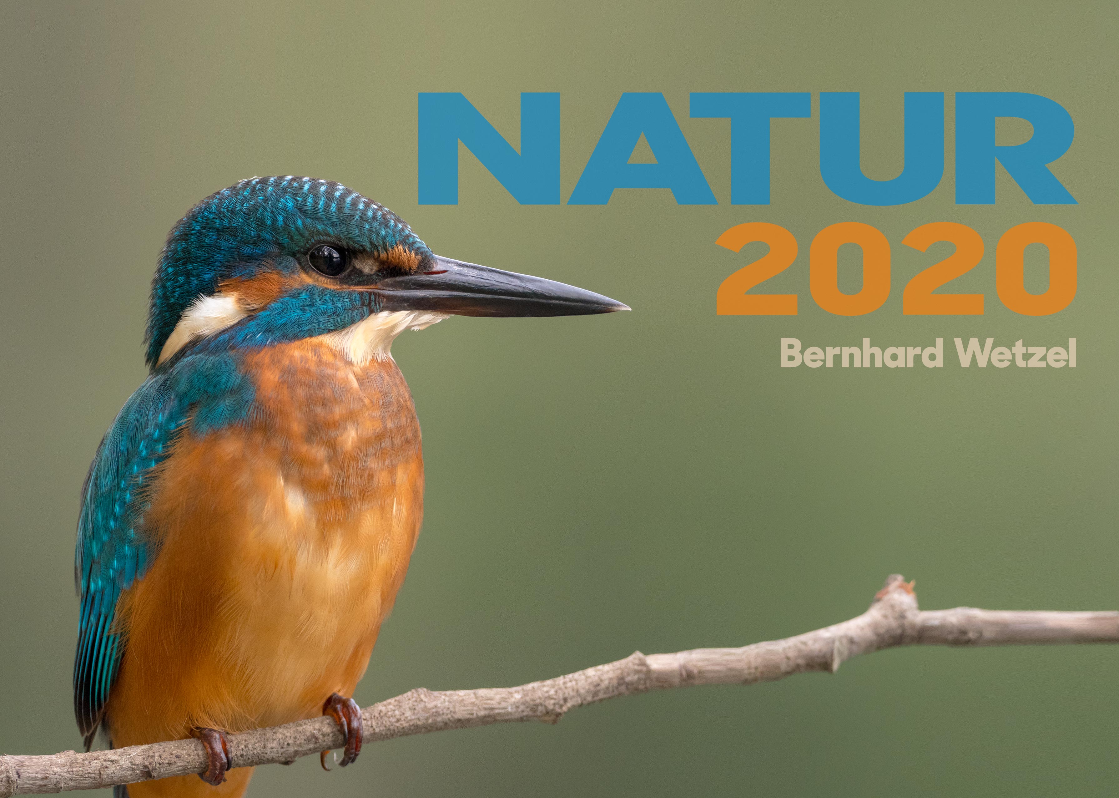 Deckblatt Kalender 2020 mit Eisvogel