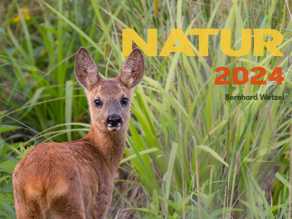 Wochenkalender Natur 2024