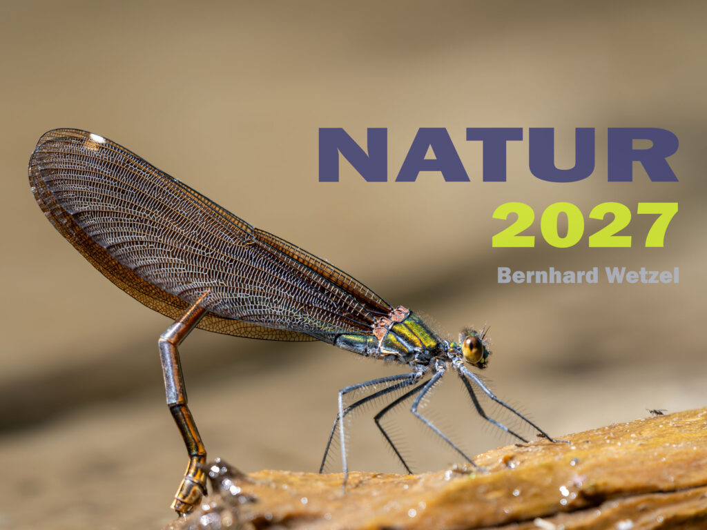 Deckblatt Kalender Natur 2027